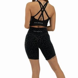 The Kingdom Collection - Rider Short Lux - Panther